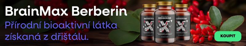 BrainMax Berberin 500 mg